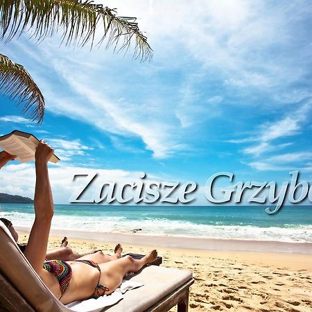 Zacisze Grzybowo Apartman Grzybowo  Kültér fotó